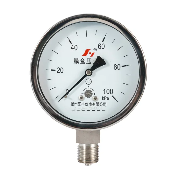 Capsule Pressure Gauge ss Case 100 mm 100 KPa