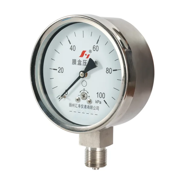 Capsule Pressure Gauge ss Case 100 mm 100 KPa