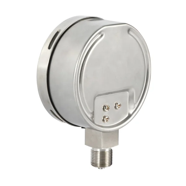 Capsule Pressure Gauge ss Case 100 mm 100 KPa