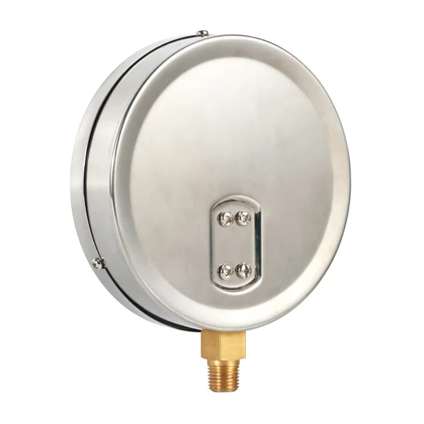Fire Sprinkler Pressure Gauge 100 mm 300 psi 20 bar Dual Range