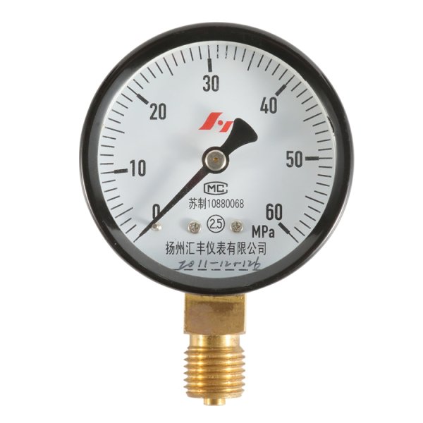 Pressure Gauge Carbon Steel Case 50mm 100mm 0 to 60 MPa