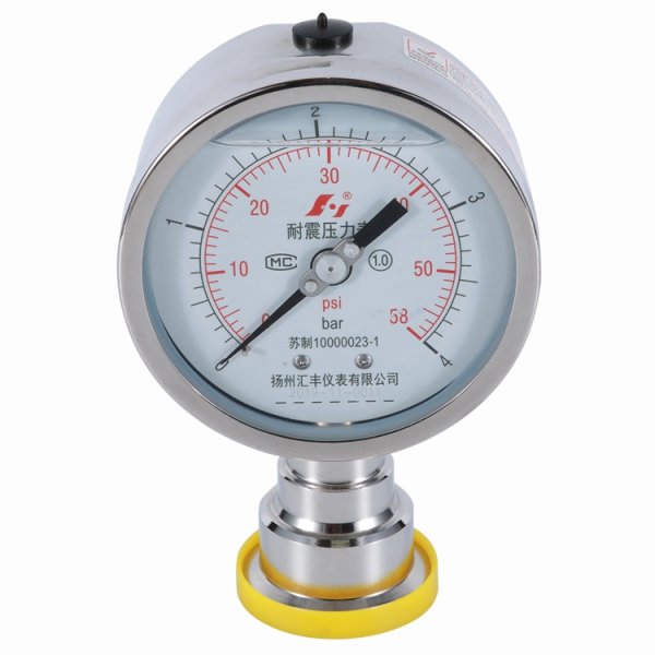 Diaphragm Pressure Gauge ss Case 63mm 0 to 4 bar Sanitary Type