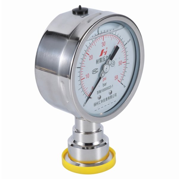 Diaphragm Pressure Gauge ss Case 63mm 0 to 4 bar Sanitary Type